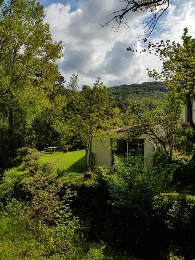 Beautiful Studio Surrounded By Nature Lanet Exteriör bild