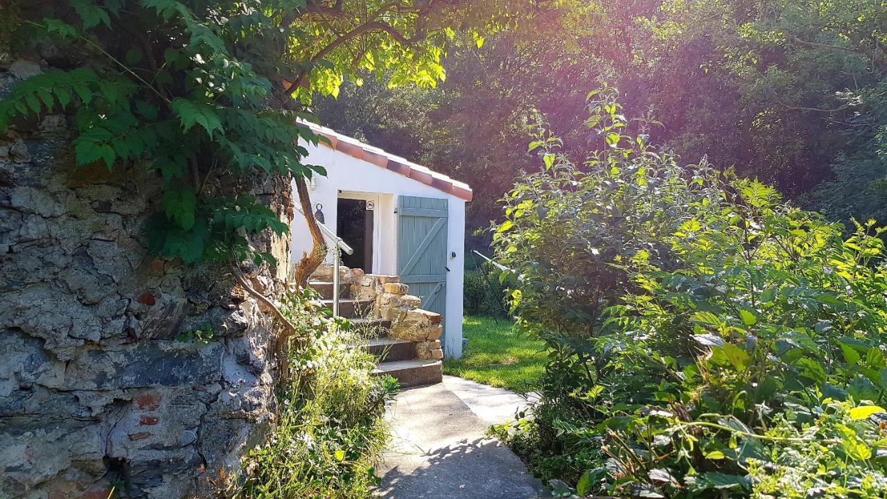 Beautiful Studio Surrounded By Nature Lanet Exteriör bild