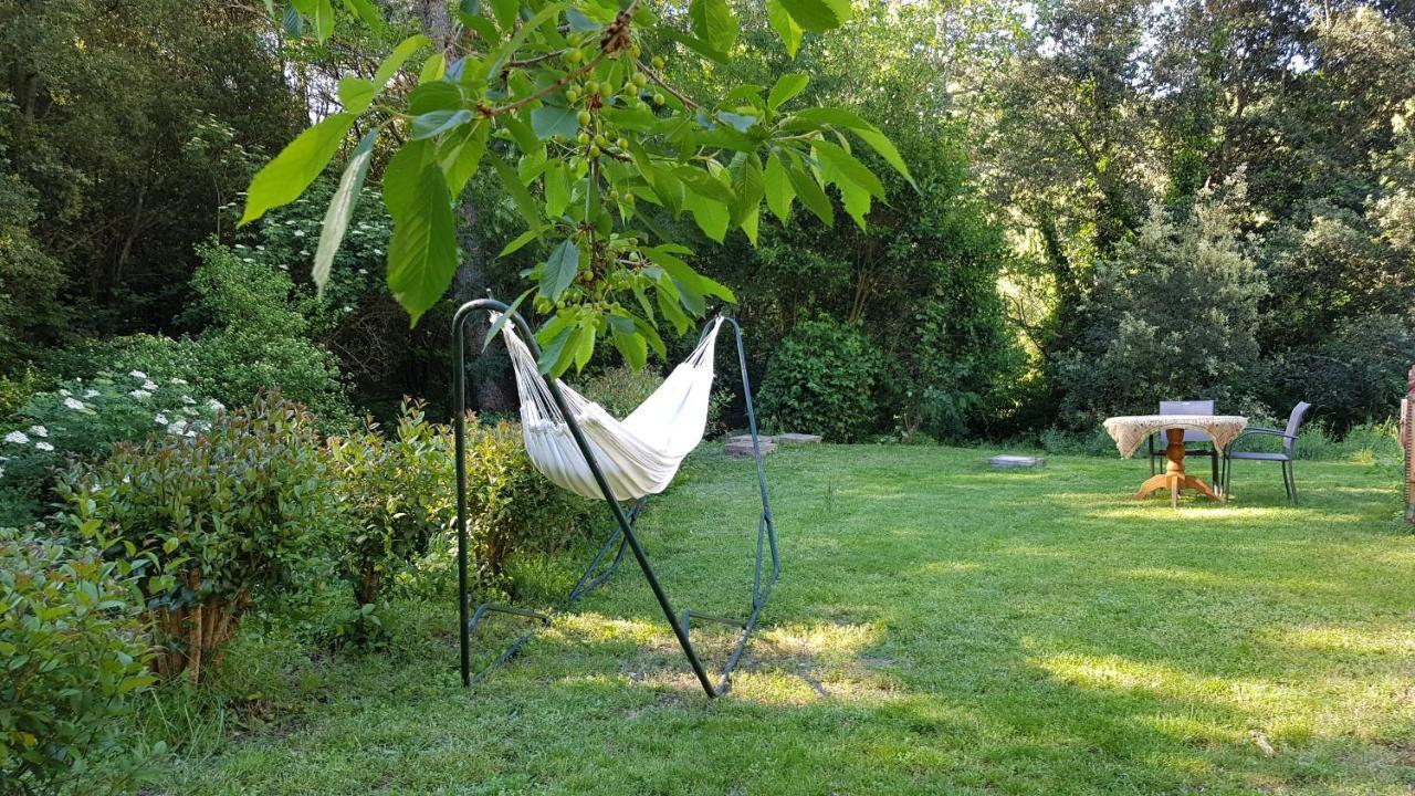 Beautiful Studio Surrounded By Nature Lanet Exteriör bild
