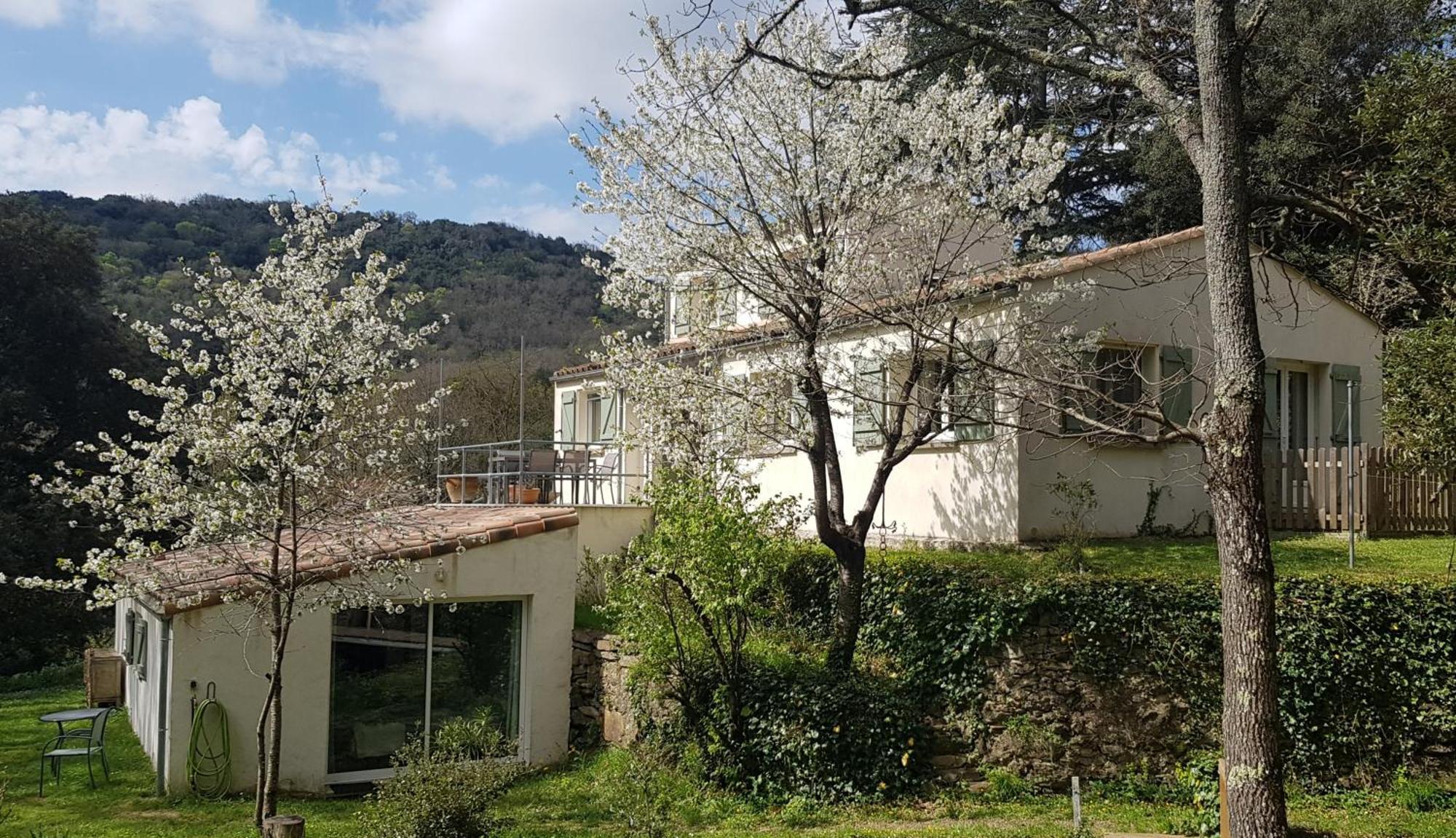 Beautiful Studio Surrounded By Nature Lanet Exteriör bild