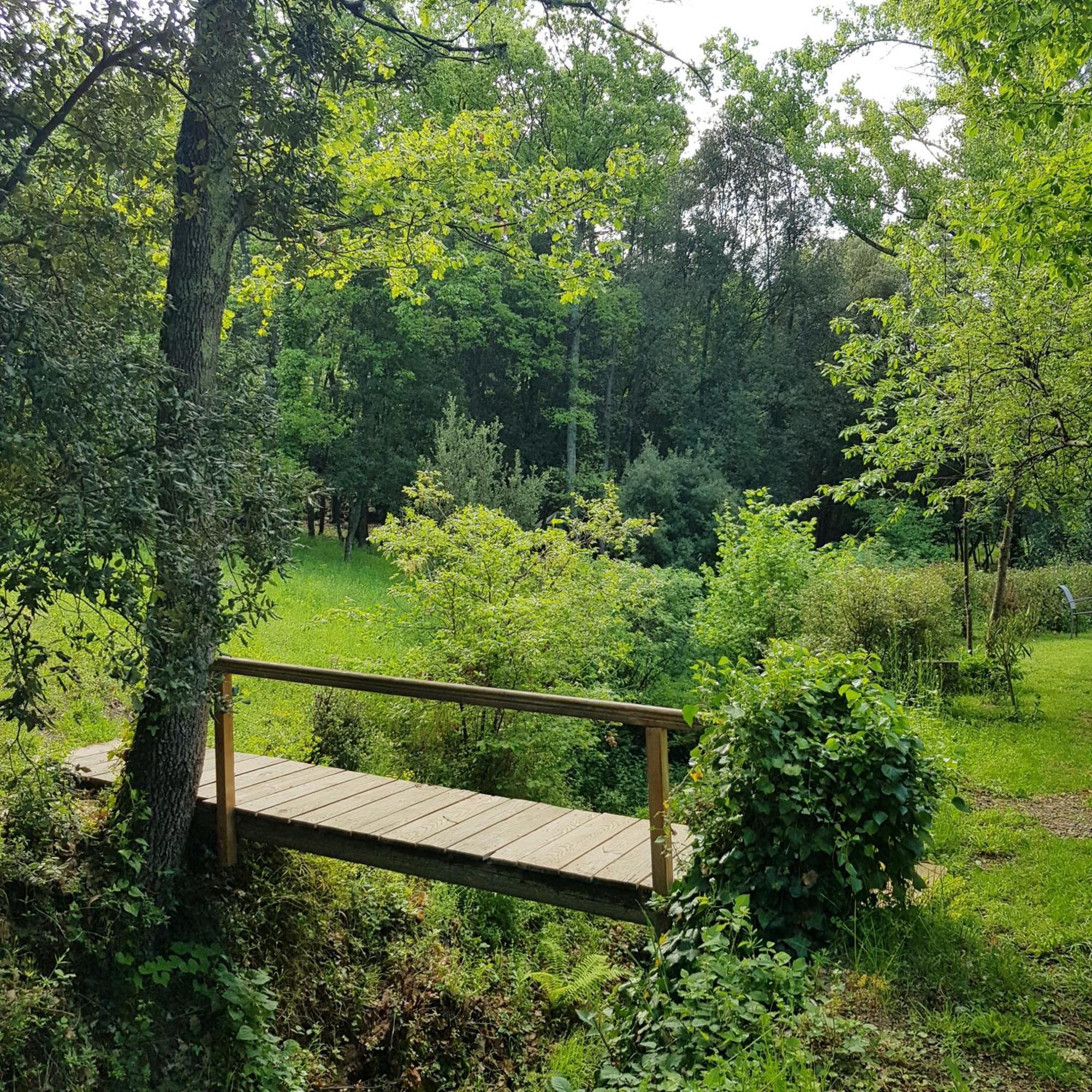 Beautiful Studio Surrounded By Nature Lanet Exteriör bild
